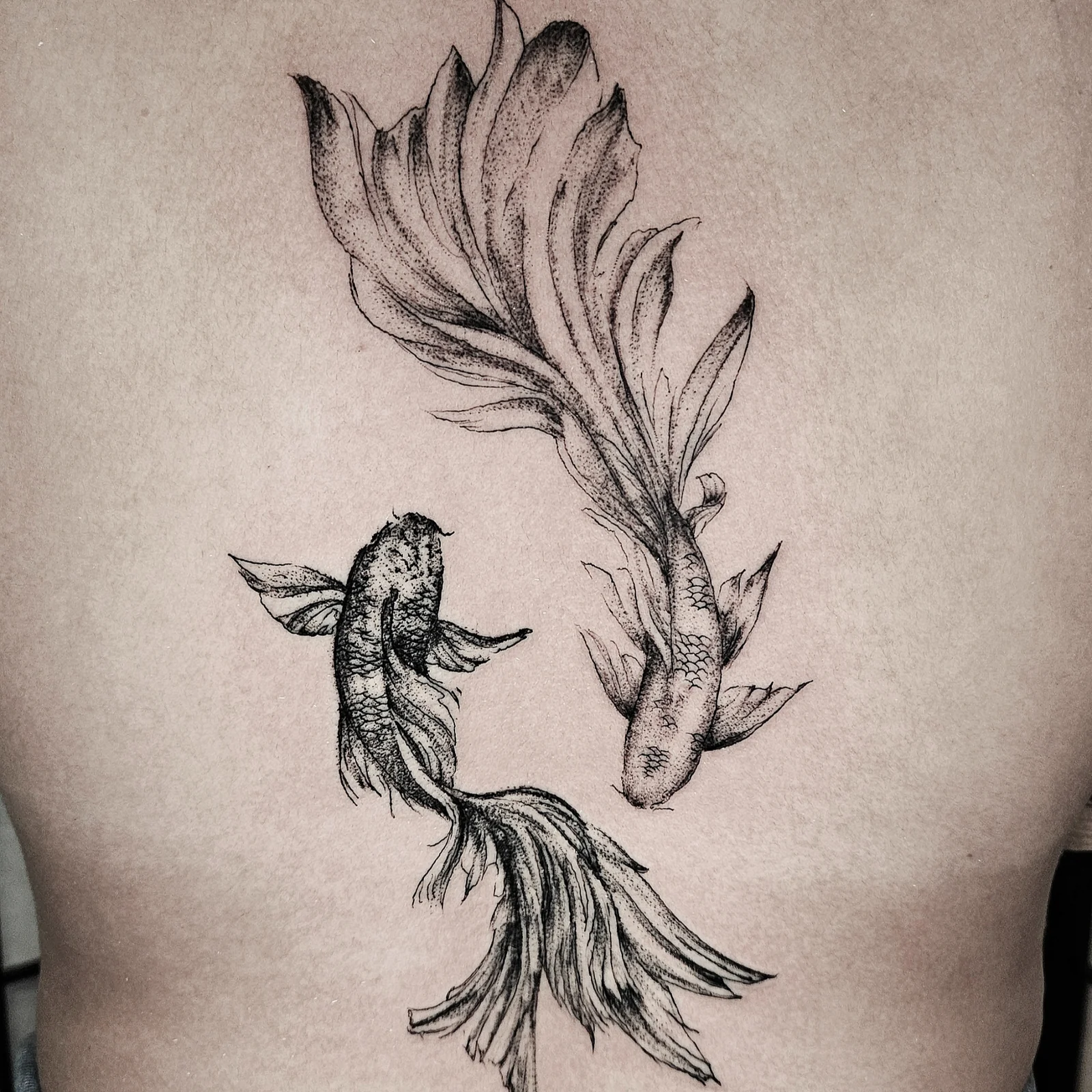 Fineline Tattoo in Honolulu HI